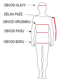 stažený soubor